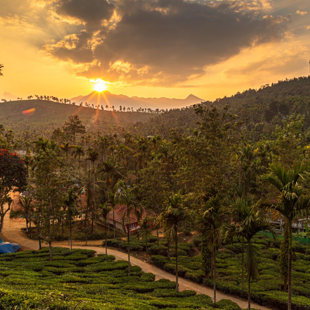 Wayanad
