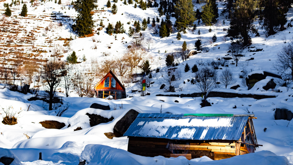 Go Nearest Hill Stations From Delhi with Travels Guru India