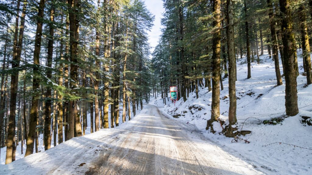 Nearest hill stations from Delhi . mussoriee travels guru india offers best packages