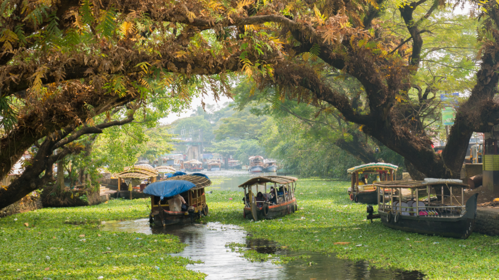 Book Kerala Tour Packages with TRAVELS GURU INDIA
