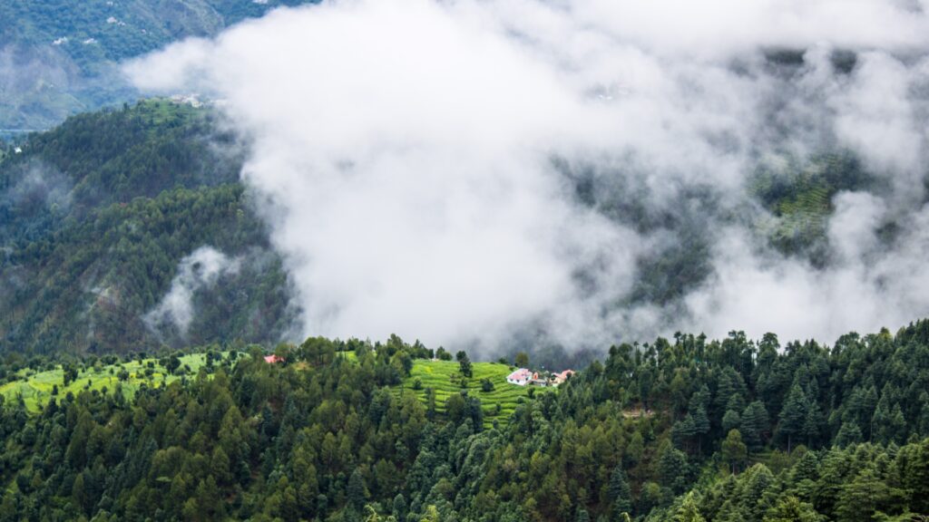 Go Nearest Hill Stations From Delhi With Travels Guru India