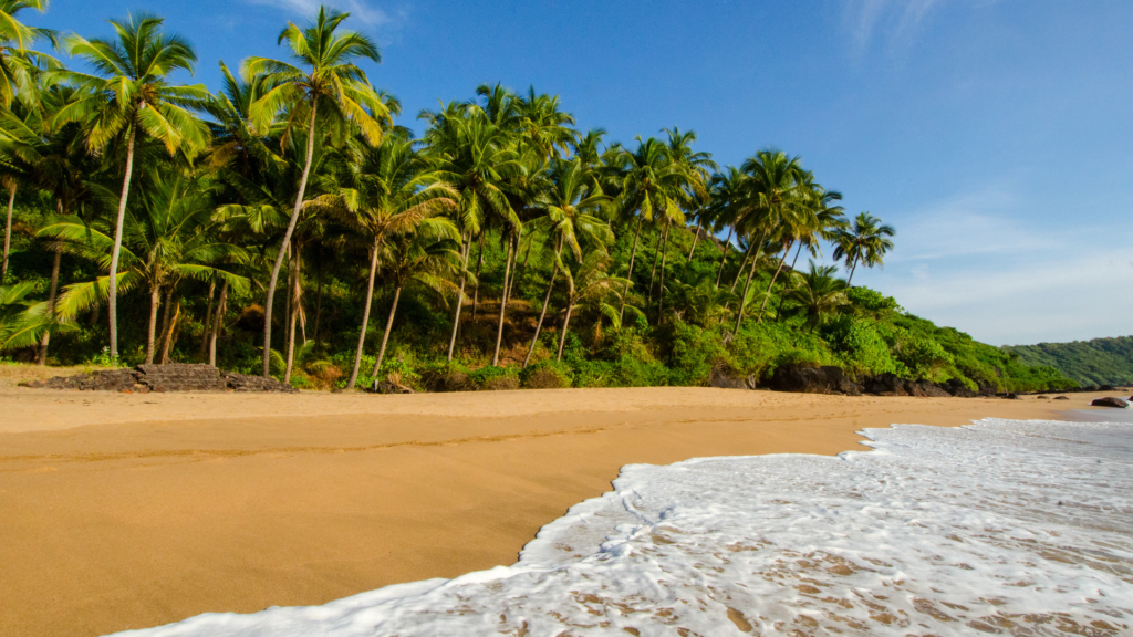 Book Goa Tour Packages with TRAVELS GURU INDIA
