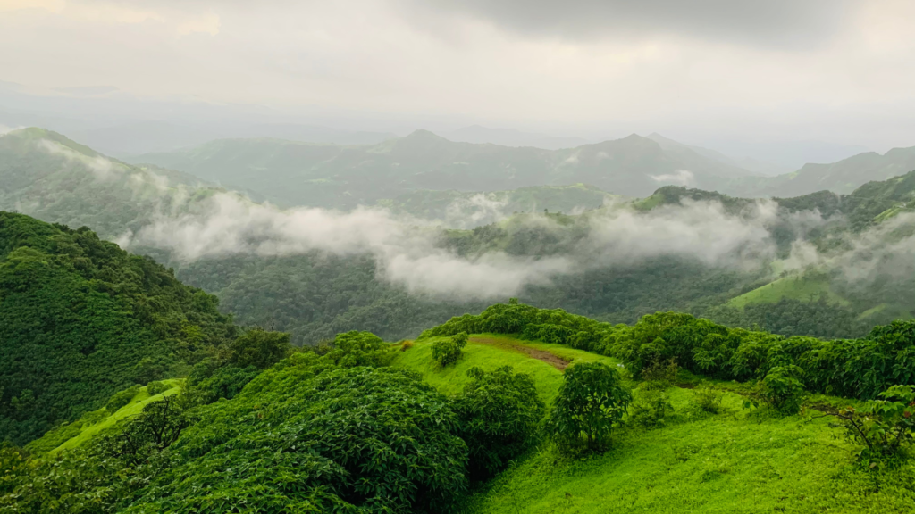 Travels Guru India travel tips of best time to visit kerala